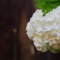 Калина обыкновенная Розеум/Бульденеж (Viburnum opulus Roseum)